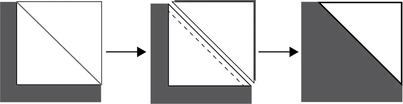 stitch and flip - SNF basic diagram